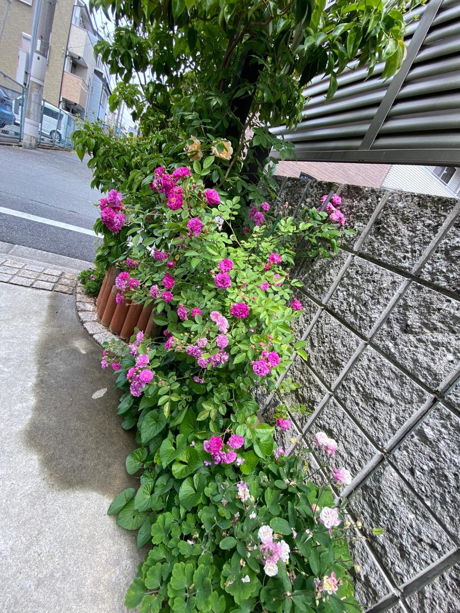 Hotel 遥華-Haruka House Kyōto Esterno foto