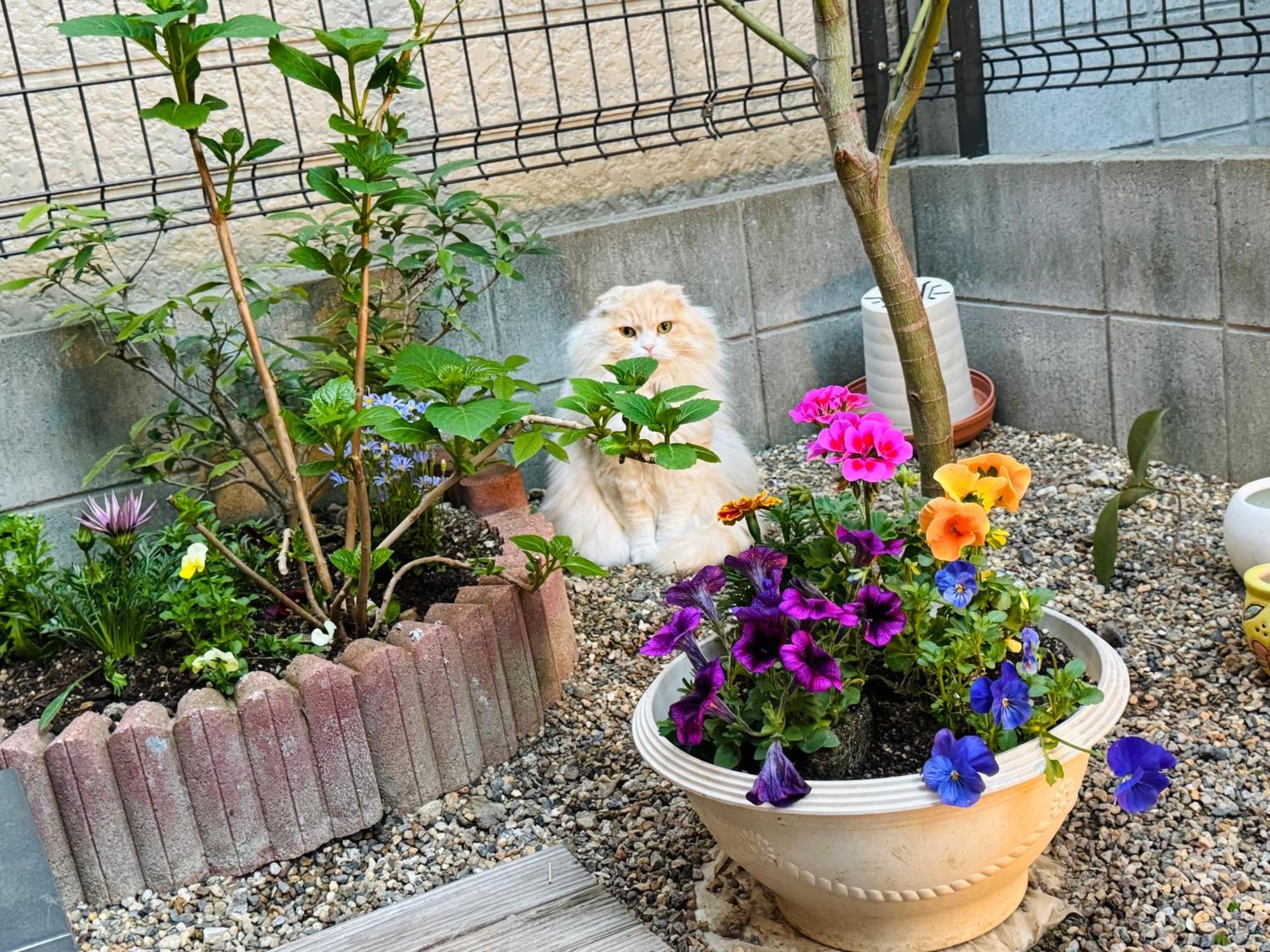 Hotel 遥華-Haruka House Kyōto Esterno foto